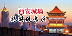 我爱日大屌骚屄中国陕西-西安城墙旅游风景区